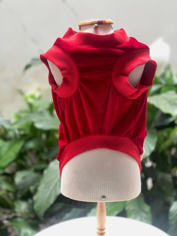 Jaqueta Alfredinho Vermelho (Malloo) - Imagem 2