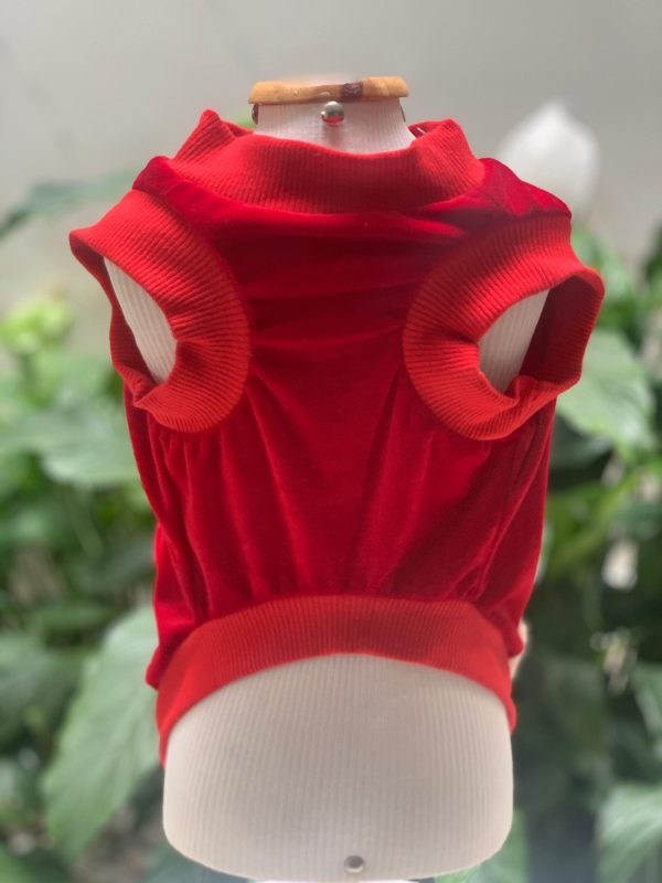 Jaqueta Alfredinho Vermelho (Malloo) - Imagem 4