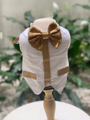 Colete Branco com Gravata Borboleta Dourada (Elenice)