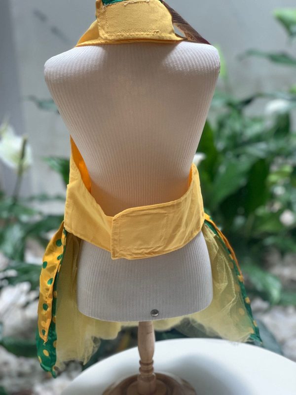 Vestido Copa Número 10 (Elenice) - Imagem 3