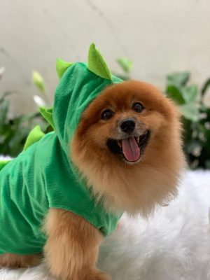 Fantasia Dinossauro Verde (Filhote Sato)