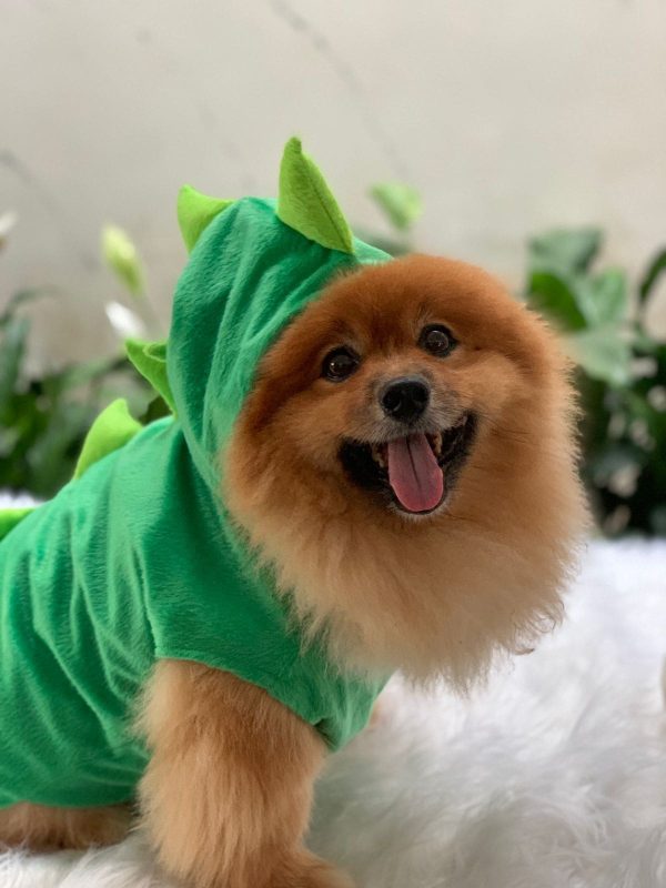 Fantasia Dinossauro Verde (Filhote Sato)