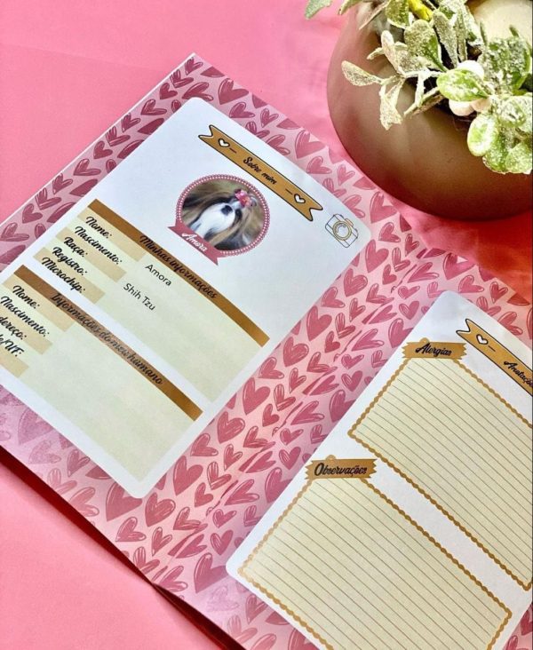 Caderneta de Vacinação Personalizada - Imagem 3